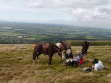 England-Dartmoor-The Dartmoor Explorer